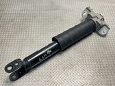 Rear shock absorber/damper