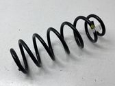 Front coil spring
