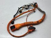Other wiring loom