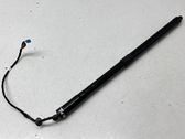 Tailgate/trunk strut/damper