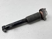 Rear shock absorber/damper