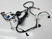 Front door wiring loom