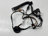 Rear door wiring loom