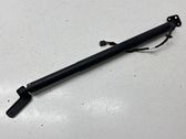 Tailgate/trunk strut/damper