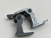 Front door hinge set