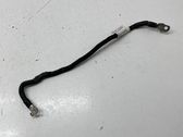 Negative earth cable (battery)