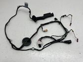 Rear door wiring loom