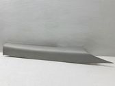 (C) pillar trim