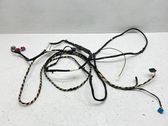 Other wiring loom