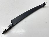 Other front door trim element