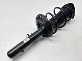 Front shock absorber with coil spring