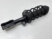 Front shock absorber with coil spring