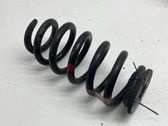 Rear coil spring