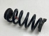 Rear coil spring