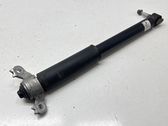 Rear shock absorber/damper