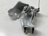 Rear door hinge set