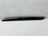 Windshield trim