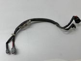 Other wiring loom