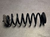 Rear coil spring
