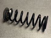 Rear coil spring