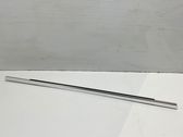 Rear door glass trim molding