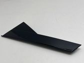 Rear door glass trim molding