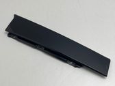 Rear door glass trim molding