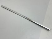 Rear door glass trim molding