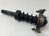 Rear shock absorber with coil spring