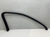 Moulure/baguette de porte avant