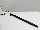 Tailgate/trunk strut/damper