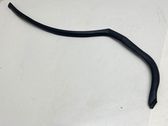 Rear door rubber seal (on body)