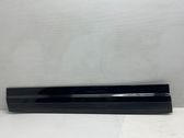 Front door trim (molding)