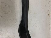 Rear/tail light trim molding