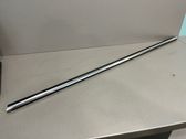 Front door glass trim molding