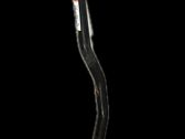 Rear anti-roll bar/sway bar