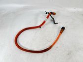 Other wiring loom