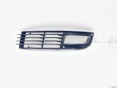 Front fog light trim/grill