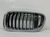 Front bumper upper radiator grill