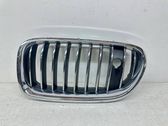 Front bumper upper radiator grill