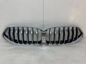 Front bumper upper radiator grill