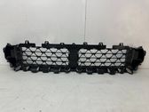 Front bumper lower grill