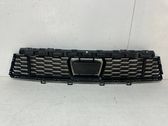 Front bumper lower grill