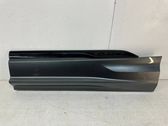 Rear door trim (molding)