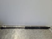 Tailgate/trunk strut/damper