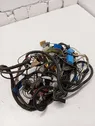 Other wiring loom