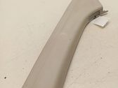 (A) pillar trim