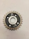 Timing chain sprocket