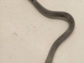 Fuel line/pipe/hose
