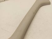 (A) pillar trim